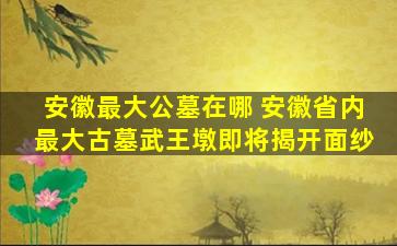 安徽最大公墓在哪 安徽省内最大古墓武王墩即将揭开面纱